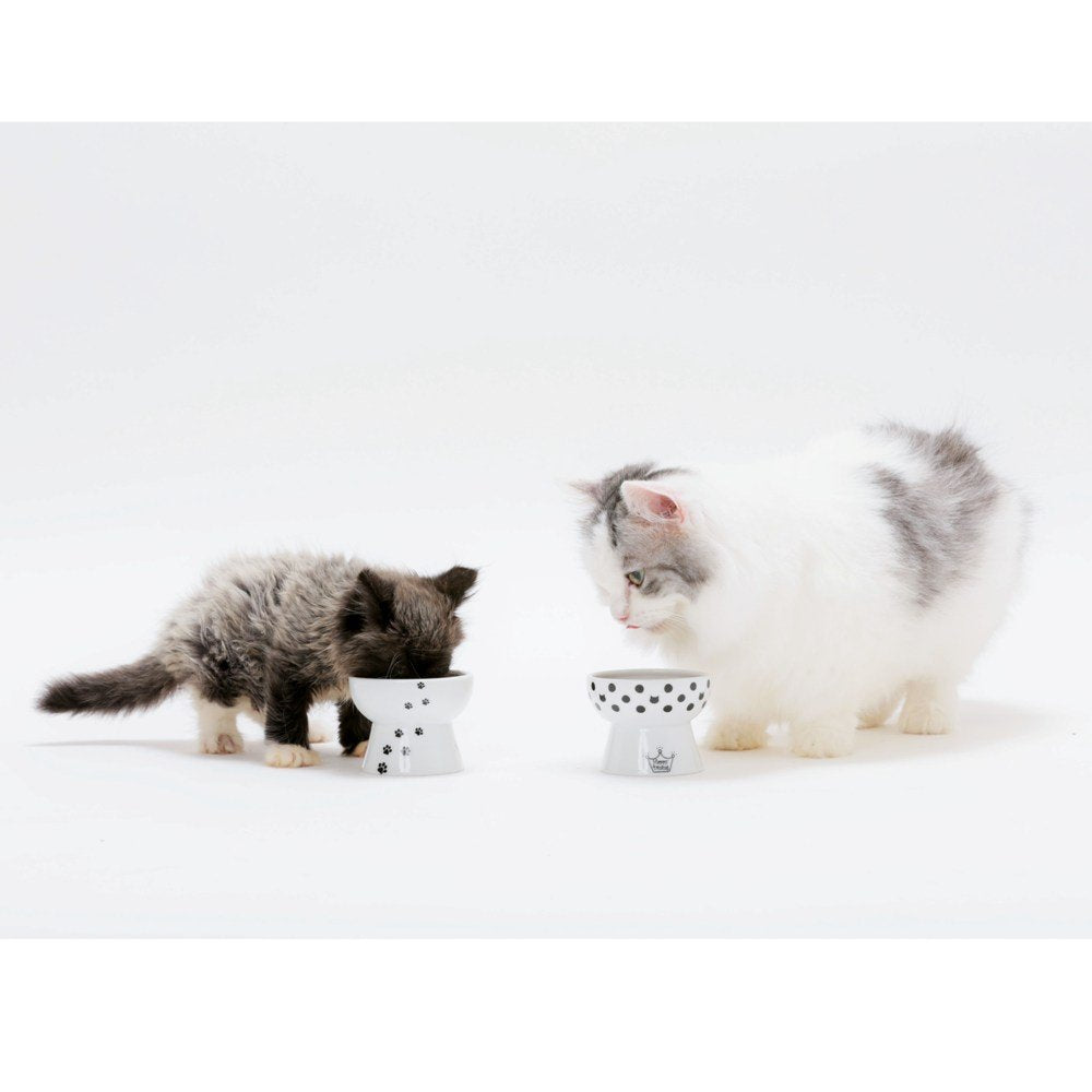 Necoichi Raised Stress Free Cat Food Bowl, Elevated, Backflow Prevention, Dishwasher and Microwave Safe, No.1 Seller in Japan! (
