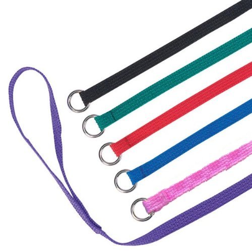 Downtown Pet Supply Slip Lead Dog Leash 6 Pack, 4' X 1/2'' - Universal Dog Leash With Metal O Ring - Machine Washable For Groome