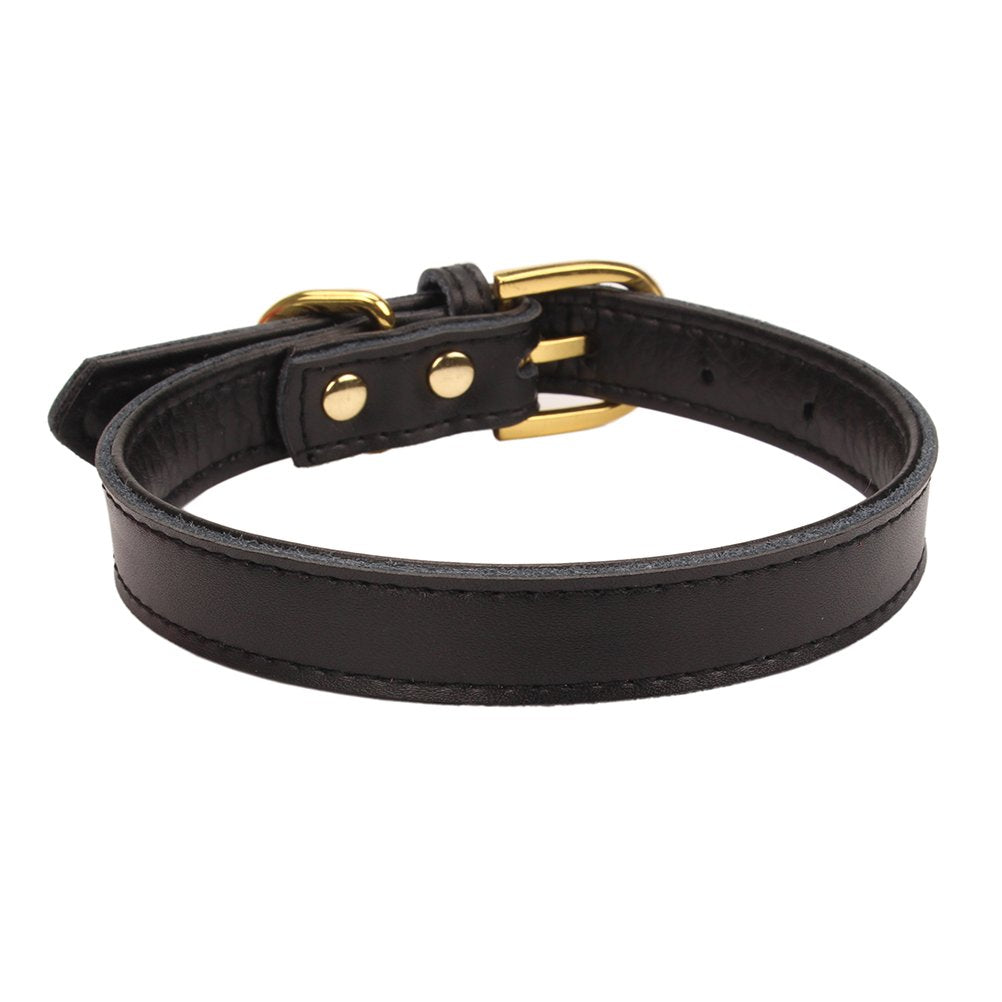Aolove Basic Classic Padded Leather Pet Collars For Cats Puppy Small Medium Dogs (Black, Small)