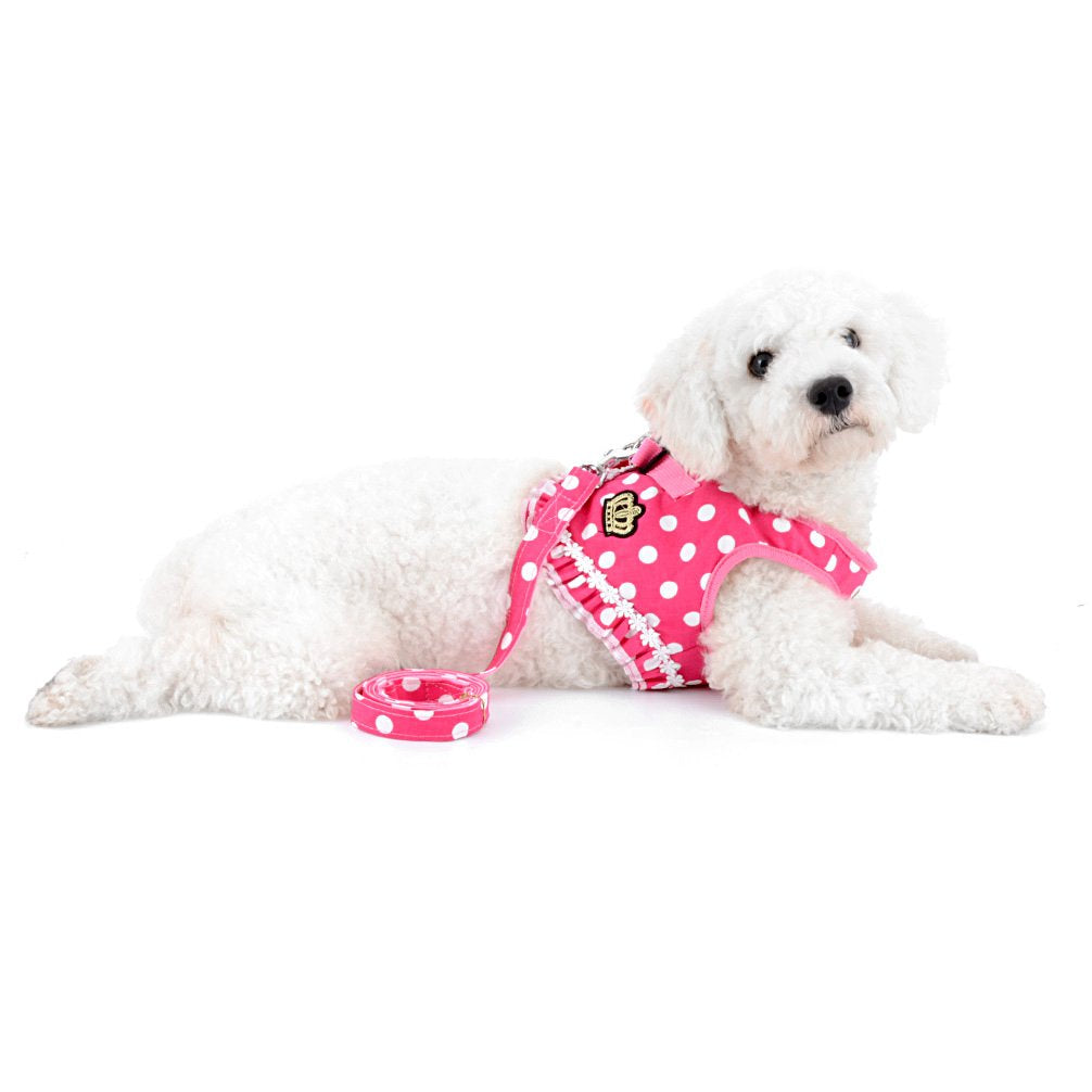SMALLLEE_LUCKY_STORE No Pull Polka Dot Small Dog Puppy Cat Harness with Crown, Soft Mesh Padded Vest Harness and Leash Set for G