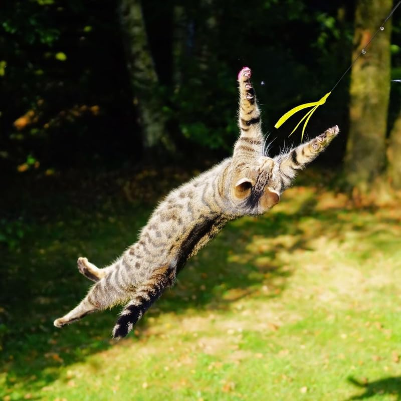 Psk Pet Mart Feather Wand Cat Stick Toy  Best Playtime Toy For Indoor Cats 1 Pcs