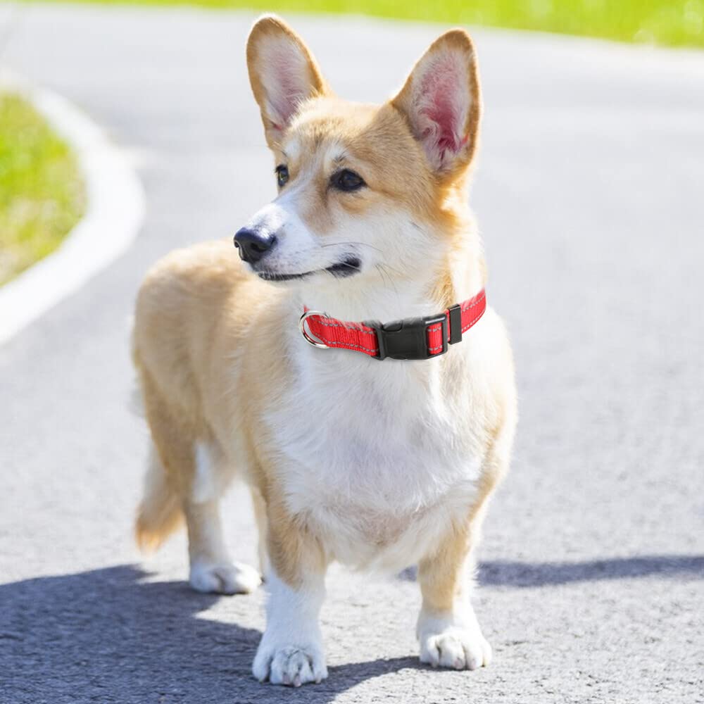 Taglory Reflective Adjustable Dog Collars For Puppy Small Medium Large Dogs, Thin Nylon Webbing And Quick Release Plastic Buckle(Red Medium)