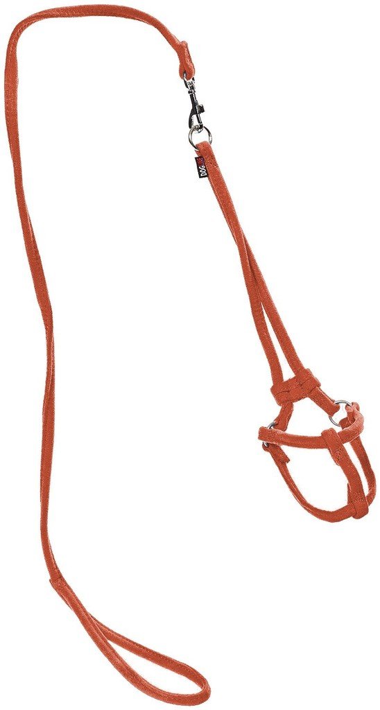 Dogline Soft And Padded Comfort Microfiber Leash For Dogs M (W1/3 X L36 X G18-26''), Orange