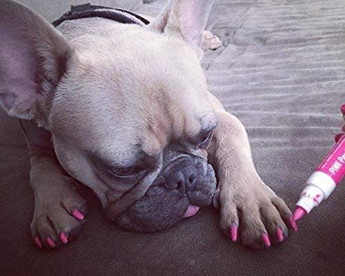 Warren London Pawdicure Dog Nail Polish Pens | Quick Dry, Low Odor, Non-Toxic Dog Accessories | Ideal For Dog Birthday, Dog Costume | Made In Usa | 13 Colors | Pink Purp Red