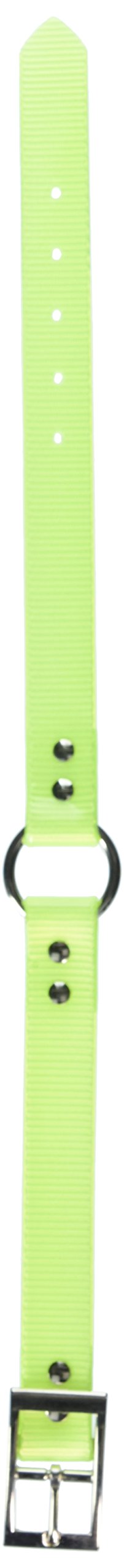 Omnipet Sunglo Ring-In-Center Dog Collar, 1' Wide, Yellow, Fits 14.5'- 18' Neck Sizes, Vibrant Colors & Tough Construction Fo