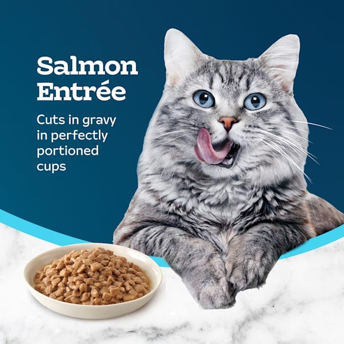 Blue Buffalo Tastefuls Savory Singles Salmon Entree Natural Wet Cat Food in Gravy, 2.6 oz., Case of 10