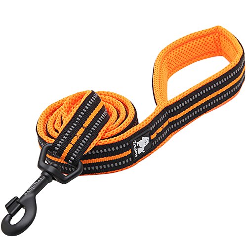 Creation Core Reflective Dog Leash Durable Padded Pet Leash Strap For Puppy Pet Leash Rope, Orange 6.5Ft Long 1' Wide