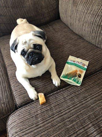Authentic Himalayan Yak Cheese for Dogs - Medium (Pack of 3) - Sourced from Pristine Himalayan Foothill, Rawhide-Free, NO preser