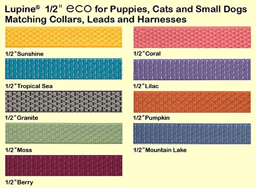 Lupinepet Eco 1/2' Moss 10-13' Step In Harness For Extra Small Dogs