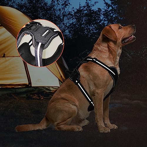 Amazon Basics No-Pull Dog Harness, Adjustable Soft Padded Vest With Reflective Stripes, Medium, Black