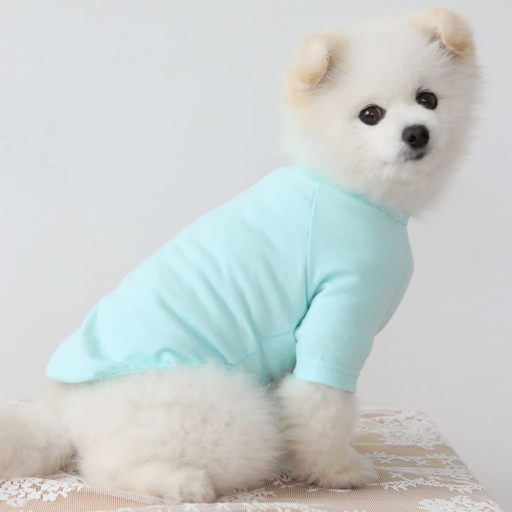 Lucky Petter Dog Shirt For Small Dogs Plain T-Shirts Soft Breathable Dog Cotton Shirt Pet Clothes (Small, Mint)