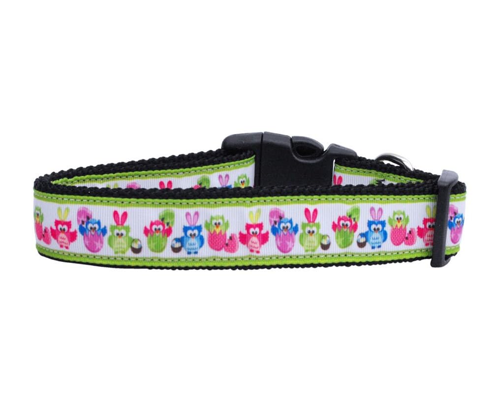 Pet Dog & Cat Nylon Collar or Leash, "Easter Birdies" Cat Collar