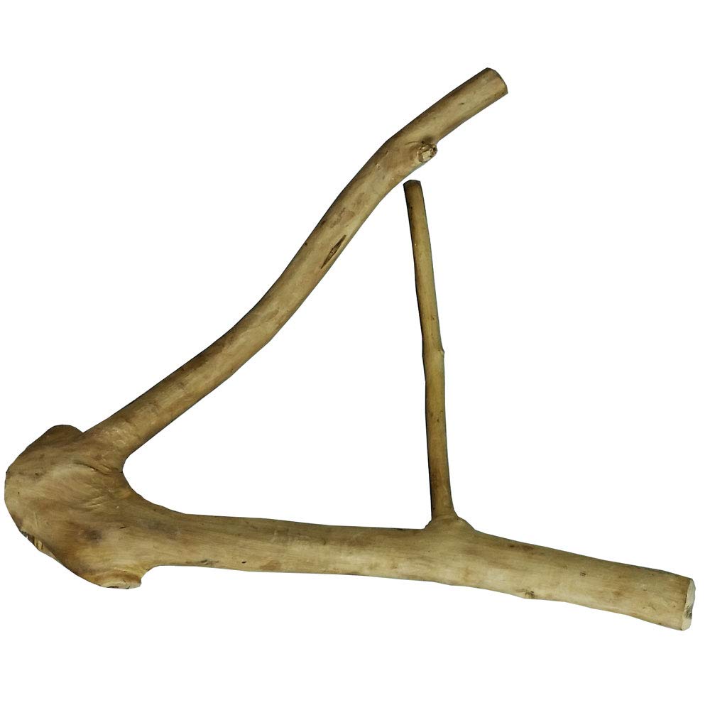 Small Multi-Branch ? 16? X 1.2? Java Wood