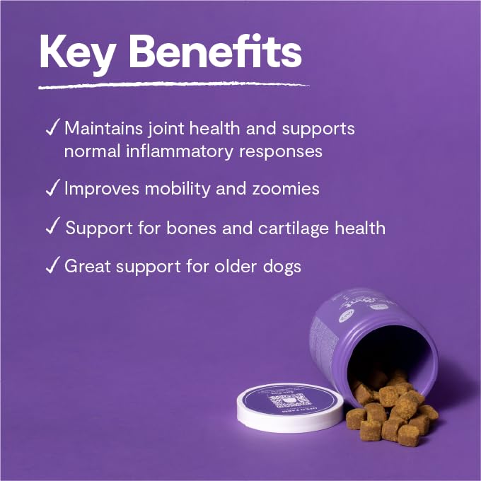 Open Farm Hip & Joint Chews, Dog Supplement, Dog Vitamins, Supports Joint Health and Mobility Using Traceable and Vet-Approved I