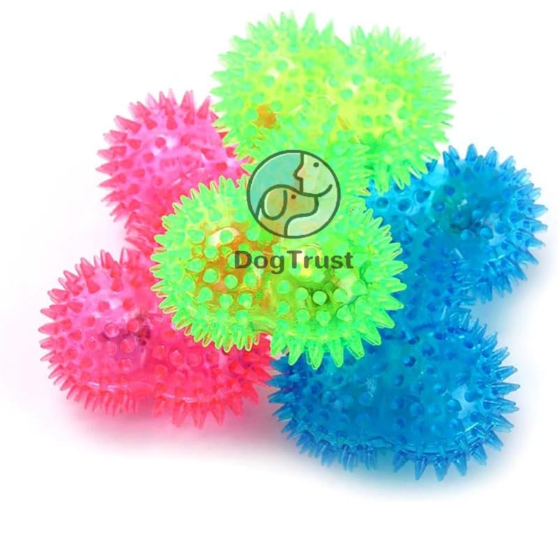 Dog Trust Led Dog Bone Squeaky Toy  Washable Pet Bone Shaped Squeak Toy Interactive Fetching Durable Rubber Teeth Training Chew