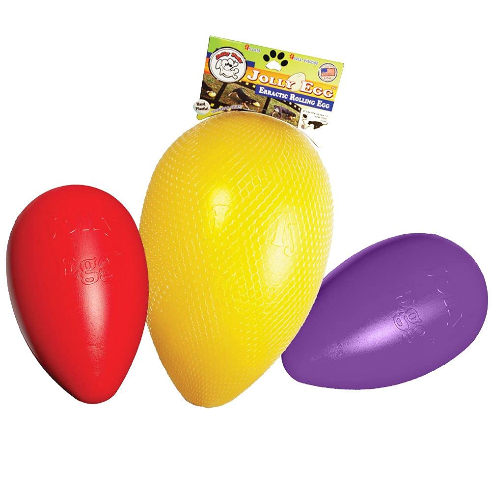 Jolly Pets Jolly Egg Plastic Dog Chew Toy 8 Inch Purple