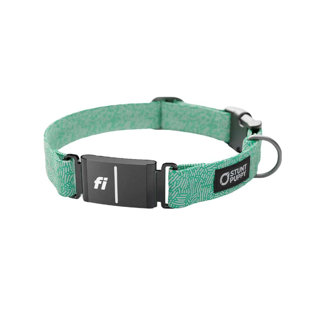 Stunt Puppy Dog Collar, Fi Series 3 Ready, Petri Jade, X-Large - Compatible With Fi Gps Device (Not Included)