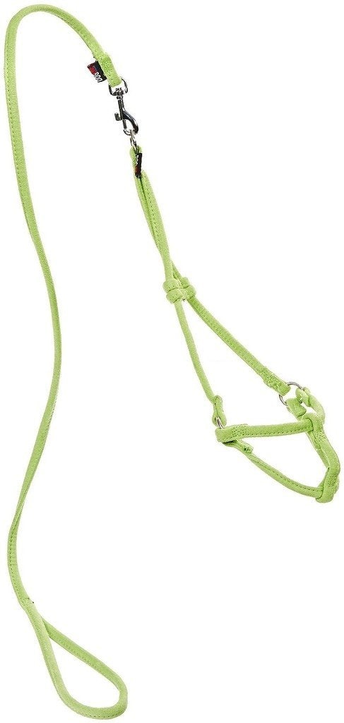 Dogline Soft And Padded Comfort Microfiber Round Step-In Harness And Leash For Dogs M (W1/3 X L36 X G18-26), Green