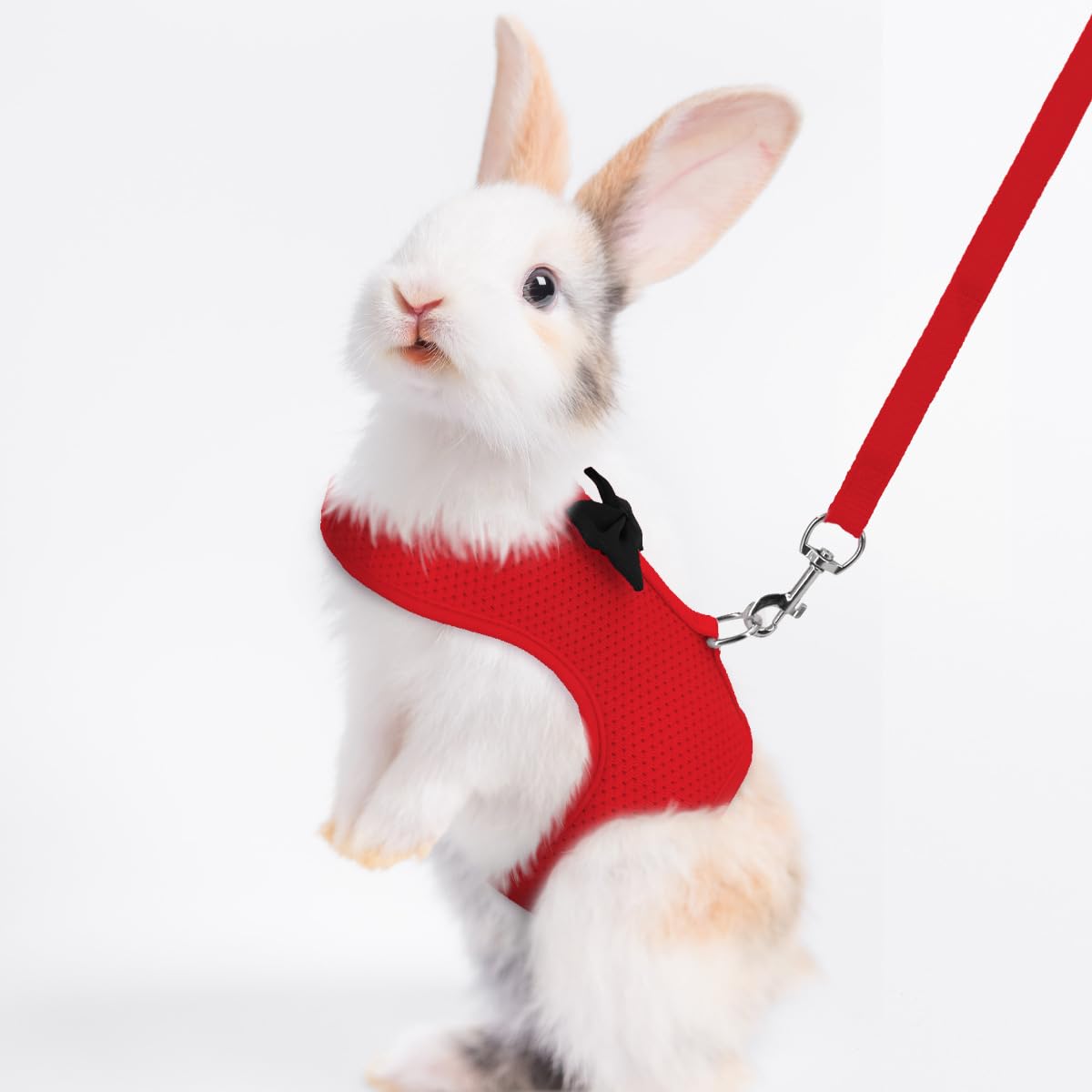 Rabbit Harness And Leash Set For Walking Escape Proof, Mesh Breathable Adjustable Bunny Harness Camping Hiking Training For Ferr