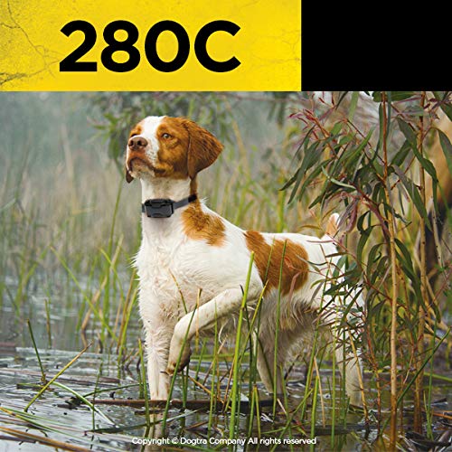 Dogtra 280C Remote Training E-Collar - Waterproof, Rechargeable, 1/2 Mile Range, 127 Levels, Black, for Small/Medium Dogs