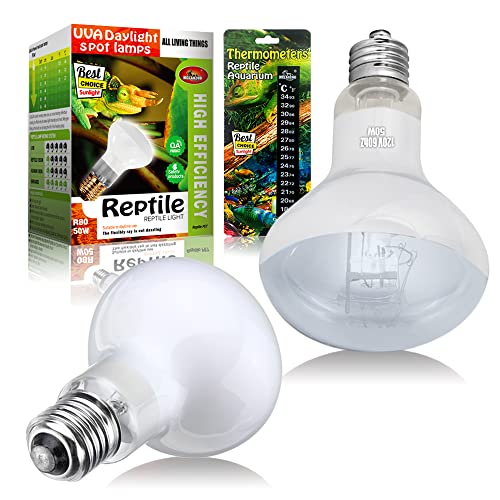 MCLANZOO 100W UVA Reptile Heat Lamp Bulb - 2 Pack, White, for Lizards, Tortoises, Bearded Dragons, and More
