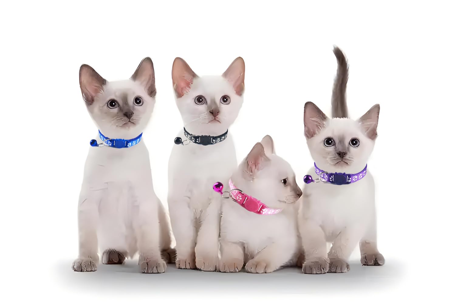 Red Breakaway Cat Collars With Bells, 2 Pack Kitten Collar With Bells, Break Away Cat Collars For Girl Cats Female Kitty