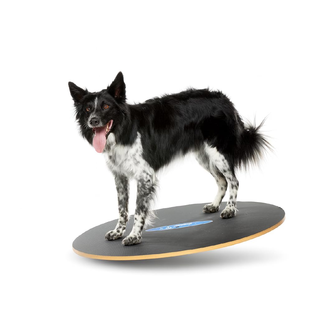 FitPaws Wobble Board - Dog Balance Training Equipment for Core Strength & Stability Canine Fitness & Rehabilitation Tool 36
