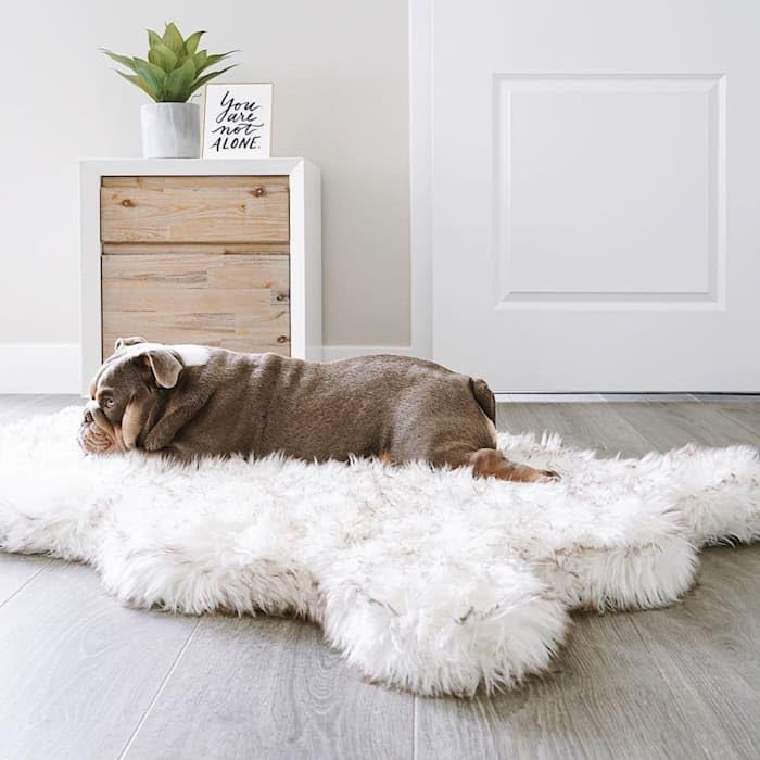 PupRug Orthopedic Dog Bed for Dogs with Soft Faux Fur and Memory Foam for Joint Pain Relief, Machine Washable Waterproof Couch B