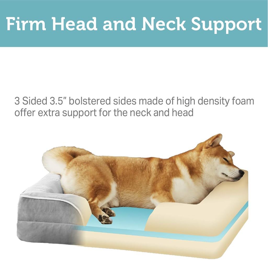 Friends Forever Orthopedic Dog Bed for Medium Dogs, Waterproof Memory Foam Dog Sofa Bed M with Removable Washable Cover, Ally Gr