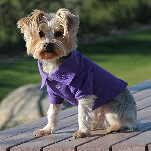 Doggie Design Solid Dog Polo Shirt (Ultra Violet, 3Xl)