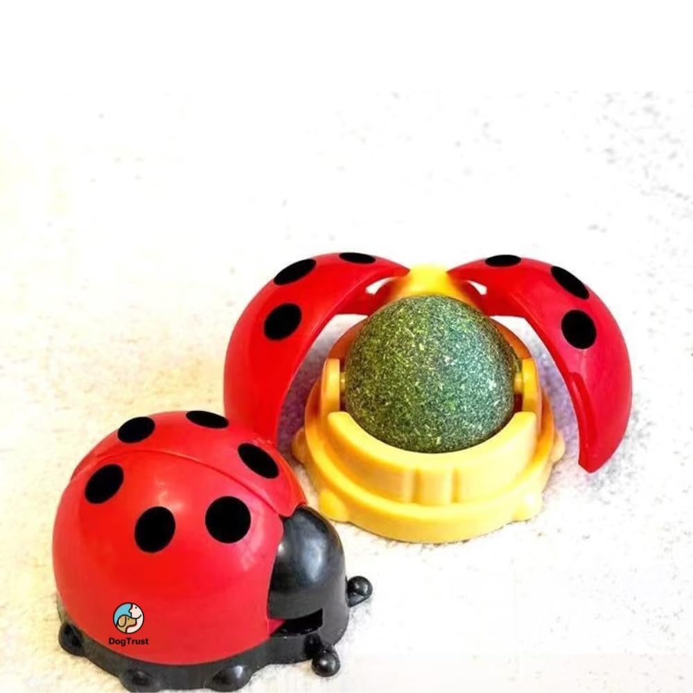 Dog Trust Catnip Balls Toy For Cats Edible Wall Ball Rotatable Catnip Roller Ball Cat Teeth Cleaning Interactive Toy For Indoor 