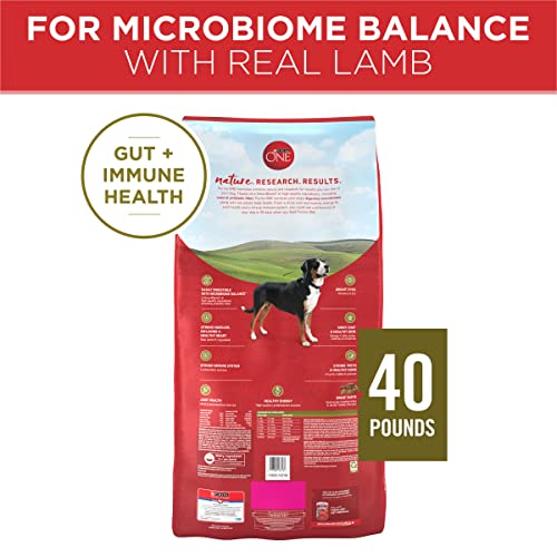 Purina ONE Dry Dog Food Lamb and Rice Formula - 40 lb Bag, High-Quality Nutrition for Dogs