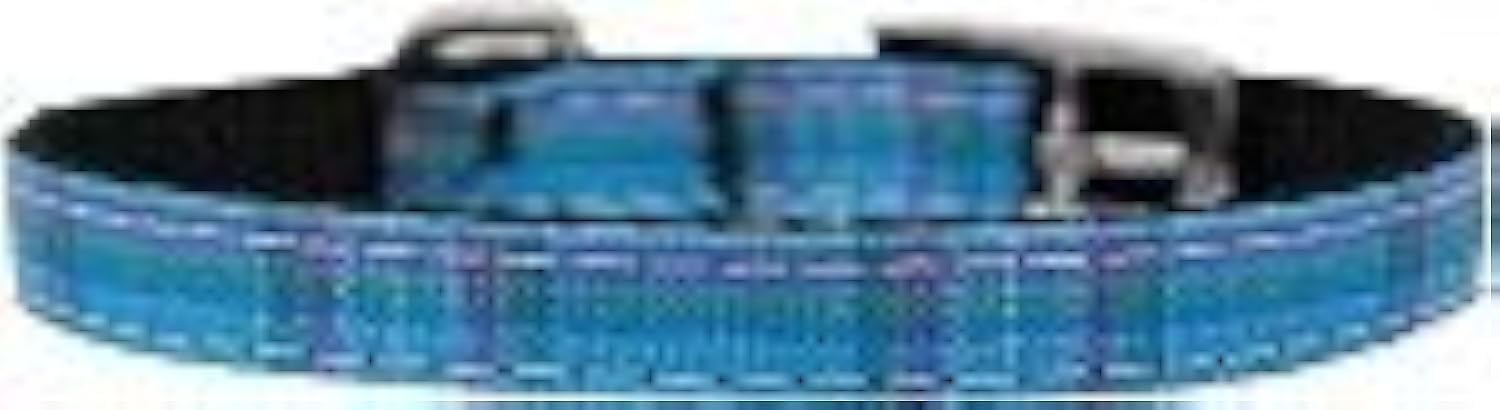 Mirage Pet Products 3/8" Plaid Nylon Dog Collar with Classic Buckle, Size 16, Blue