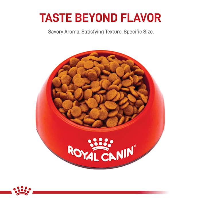 Royal Canin Small Digestive Care Dry Dog Food, 3.5 lb bag