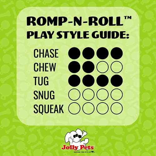 Jolly Pets Romp-N-Roll Rope And Ball Dog Toy, 6 Inches/Medium, Purple