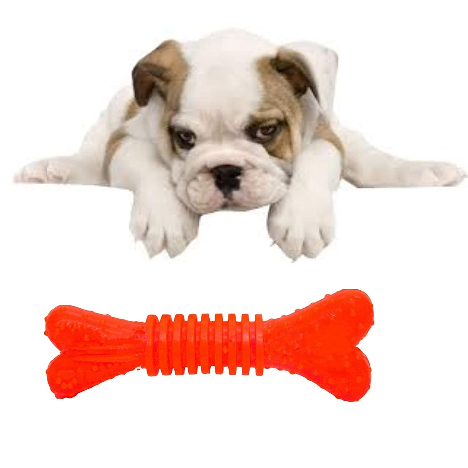 Psk Pet Mart Rubber Flavoured Puppy Bone Toy Spike Bone Chew Toy Teething Toy (Grip Bone) (Red)