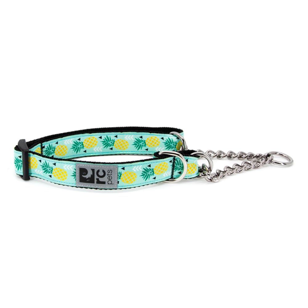 Rc Pets 1'' Martingale Training Collar, Medium, Pineapple Parade