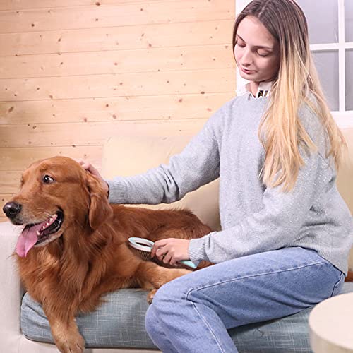 Pet Life  'WAGNIFY' 360 Degree and Multi-Directional Modern Grooming Pet Rake Comb