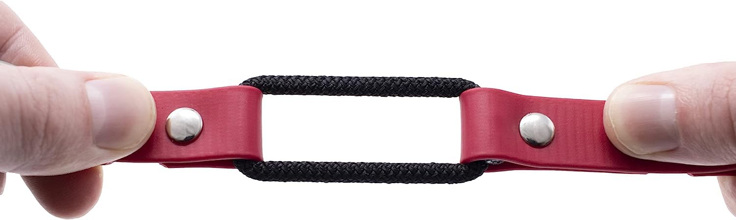 Educator Quick Snap Bungee Dog Collar, Biothane, Waterproof, Odorproof, Easy Connect And Disconnect Clasp And D Ring With Comfort Bungee Loop, Adjustable For Custom Fit, 1-Inch, Red