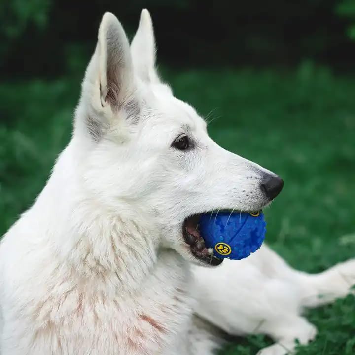 RvPaws Pet Meteorite Shape Dog Molar Cleaning Ball Toy, Interactive SoundBully Ball for Husky Golden Retriever Labrador Bulldog 