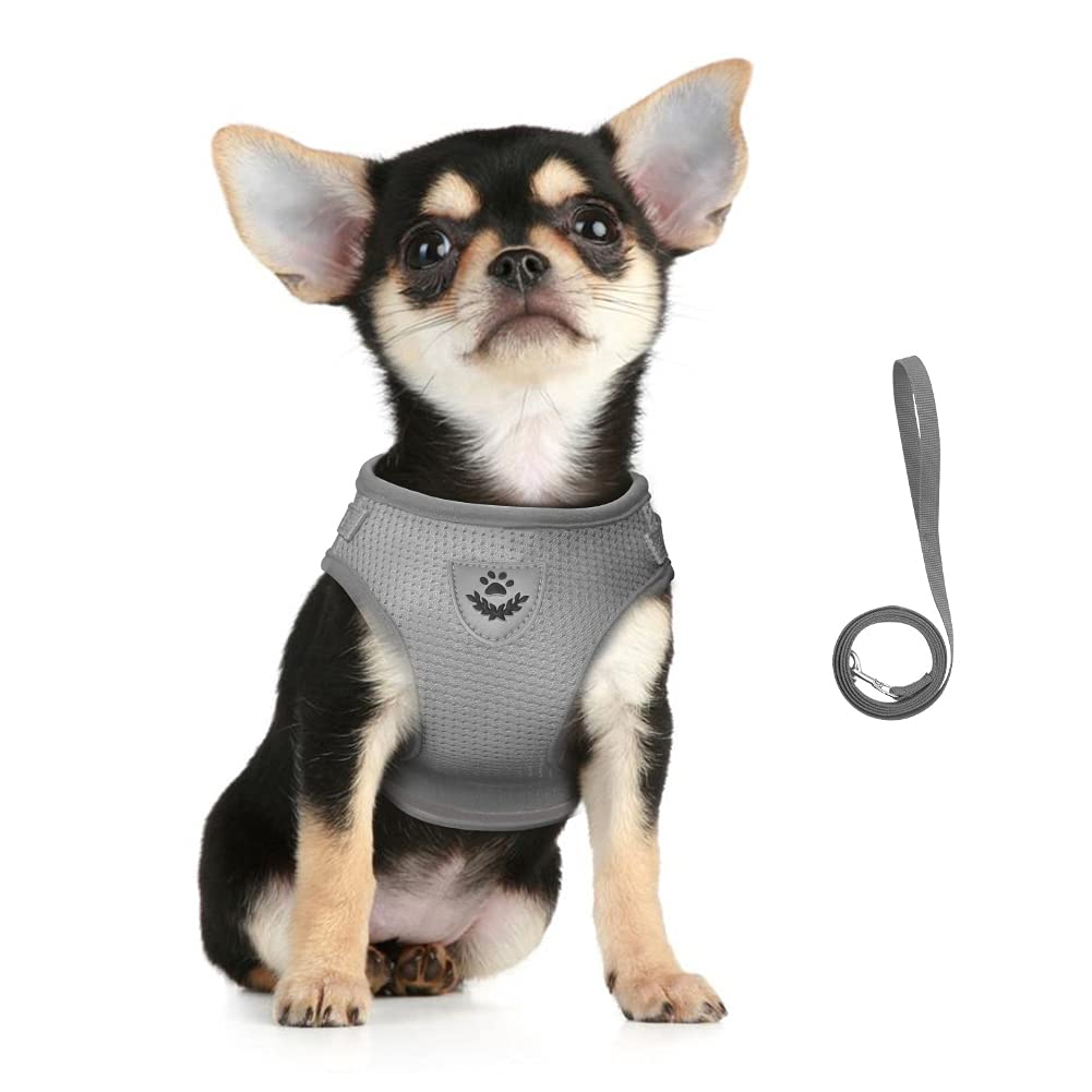 FEimaX Dog Harness and Leash Set for Walking, Soft Mesh Adjustable Easy Control Lightweight Cat Vest Harnesses with Reflective S