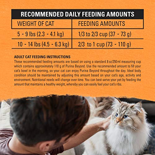 Purina Beyond Grain Free White Meat Chicken and Egg Recipe Natural Cat Food High Protein Cat Food Dry Formula - 16 Lb. Bag
