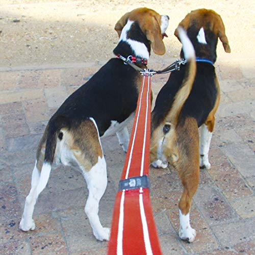 Rogz Utility Extra Large 1 Lumberjack Reflective 17 Long Split Dog Leash, Black