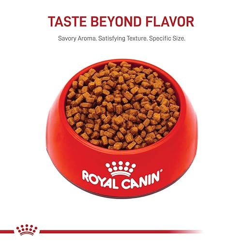 Royal Canin Chihuahua Puppy Dry Dog Food, 2.5 lb bag