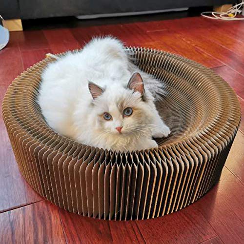 BobbyPet Cat Scratcher Lounge Bed - Collapsible Beige Cardboard for Big Cats, Model BPCAT001