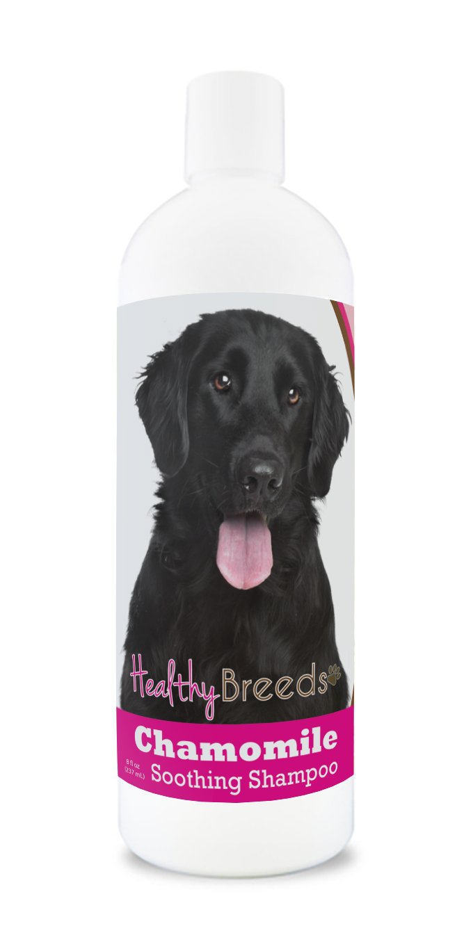 Healthy Breeds Flat Coated Retriever Chamomile Soothing Dog Shampoo 8 oz