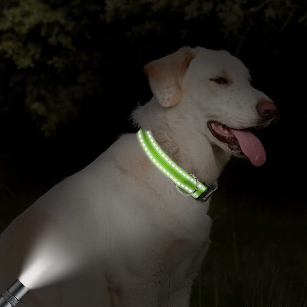 Taglory Reflective Adjustable Dog Collars For Puppy Small Medium Large Dogs, Thin Nylon Webbing And Quick Release Plastic Buckle(Green Medium)