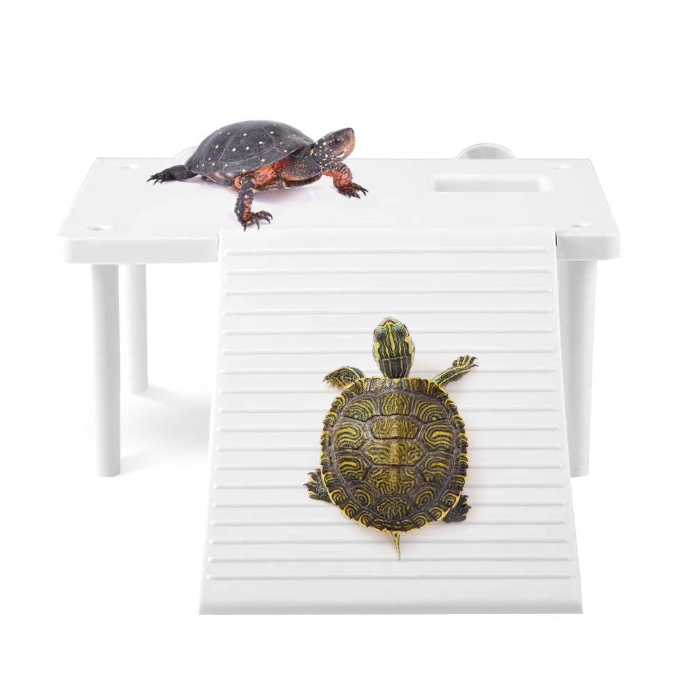 Turtle Basking, Youthink Reptiles Tortoise Climbing Ramp Reptiles Dock Resting Terrace St1 For Small Reptile Frog Terrapin Frogs Newts