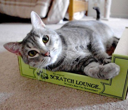 Original Scratch Lounge Cardboard Cat Scratcher & Lounger, XL 13"x22", Durable, Reversible Floor, Catnip Included