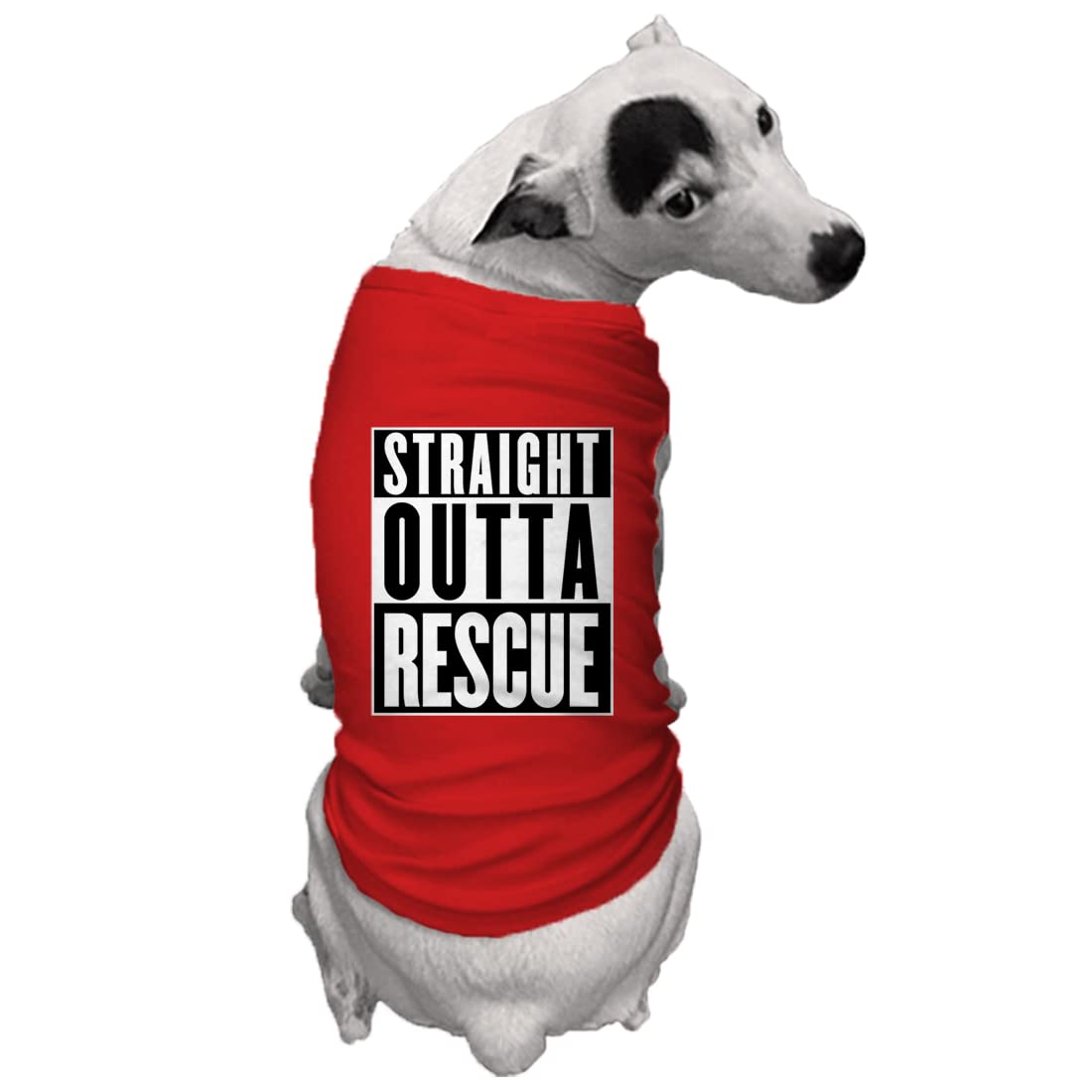 Straight Outta Rescue - Shelter Dog Shirt (Red, 3X-Large)